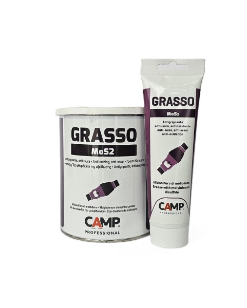 ГРЕС С MoS2 CAMP